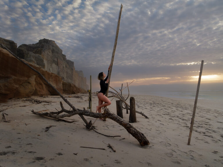 New model: “Sony”