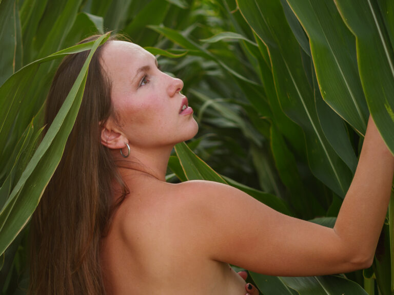 In The Corn Field 2 [+]